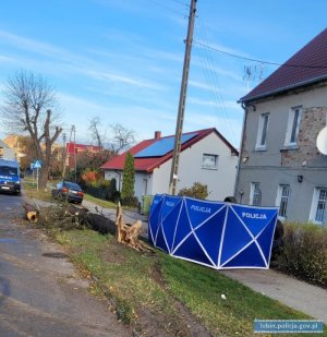 Ulica na której doszło do śmiertelnego wypadku. Namiot policyjny i radiowóz w tle