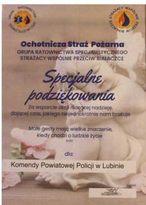 Podziękowanie dla policjantów za włączenie się w akcję i zbiórkę zabawek