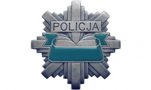 Rekordowy stan zatrudnienia w polskiej Policji