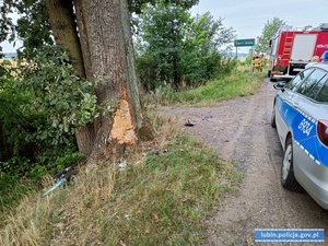 Drzewo uszkodzone przez samochód. W tle radiowóz i wóz straży pożarnej