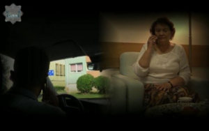 Zdjęcie obrazujące starszą kobietę, rozmawiającą przez telefon z mężczyzną siedzącym w samochodzie