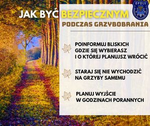 Podpowiadamy jak bezpiecznie spędzać czas w lesie