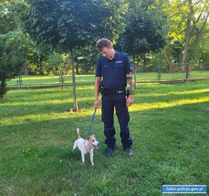 Policjanci oddali zagubionego psa właścicielce