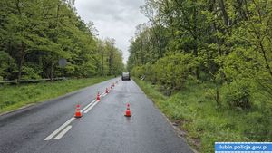 Wypadek Rynarcice-Lubin. Droga na której doszło do wypadku