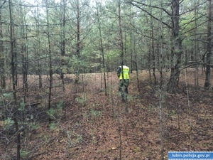 Wybierasz się do lasu na grzyby – koniecznie zabierz ze sobą naładowany telefon