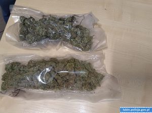 Zamiast kota, w transporterze miała narkotyki