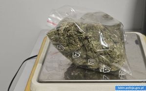 Policjanci zabezpieczyli narkotyki, które podejrzany ukrywał w plecaku