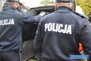 Policjanci pomagają zatrzymanemu wejść do radiowozu