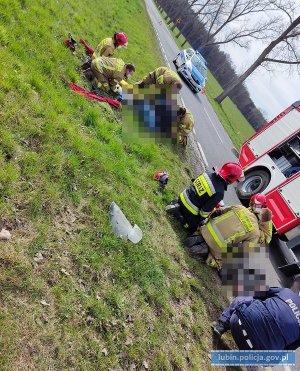 Miejsce wypadku drogowego. Strażacy i policjanci pomagają poszkodowanym